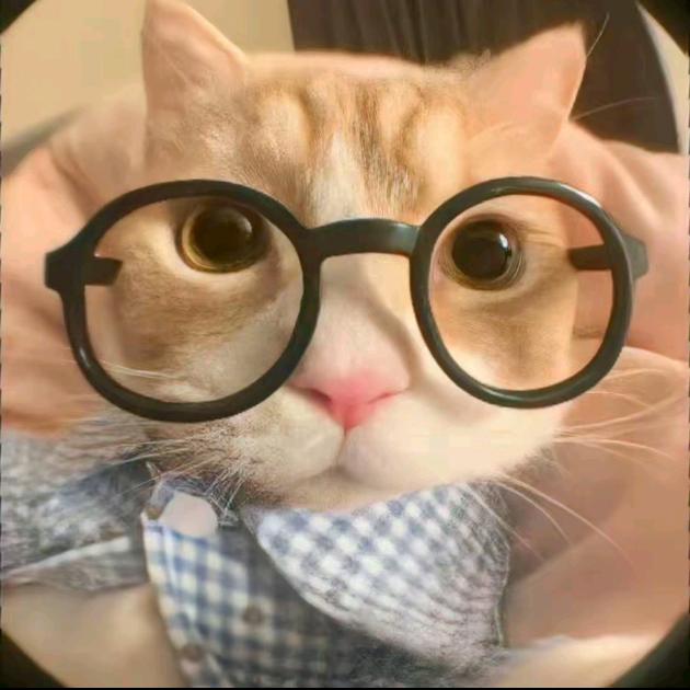 慕斯