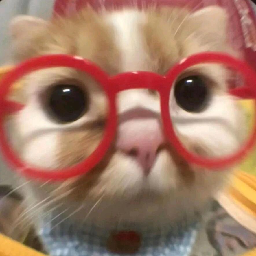 小燕子૮₍◜ෆ◝.₎ა