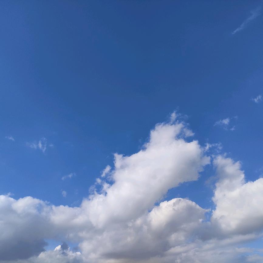 花生活