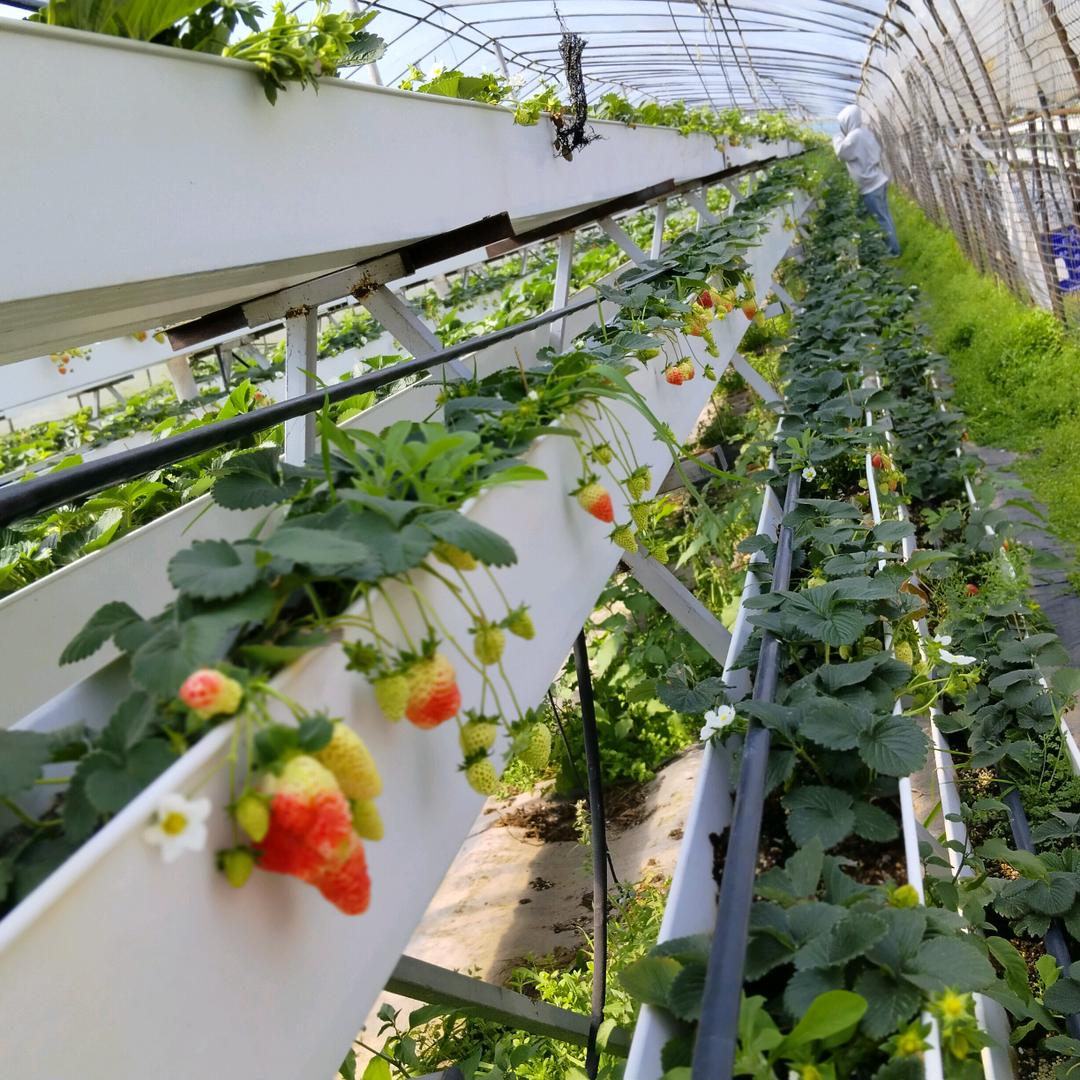 婉儿꒰⑅ᵕ༚ᵕ꒱˖♡