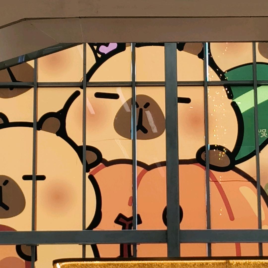 卡皮巴拉啦啦啦