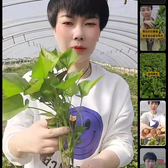王姐助农