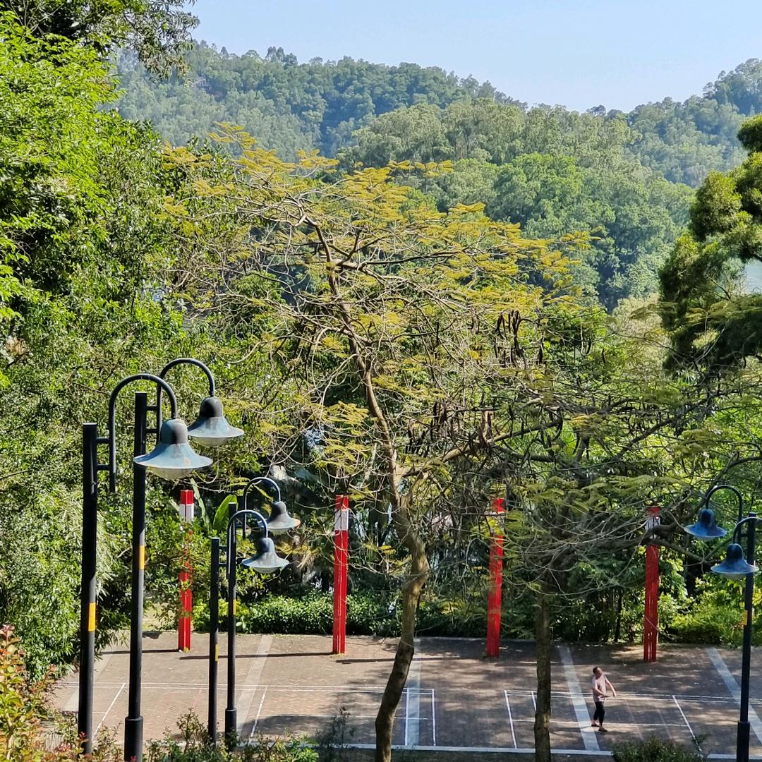 陪你到底
