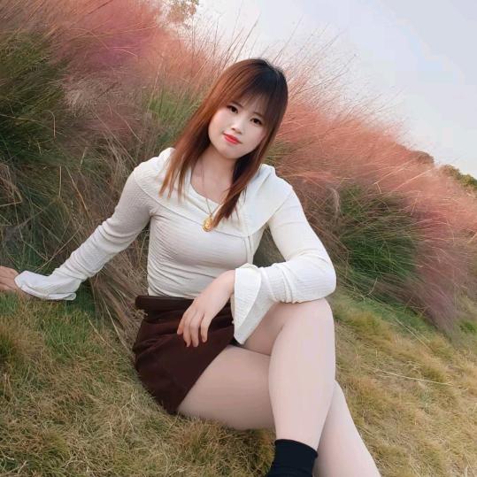 燕子(重新开始)