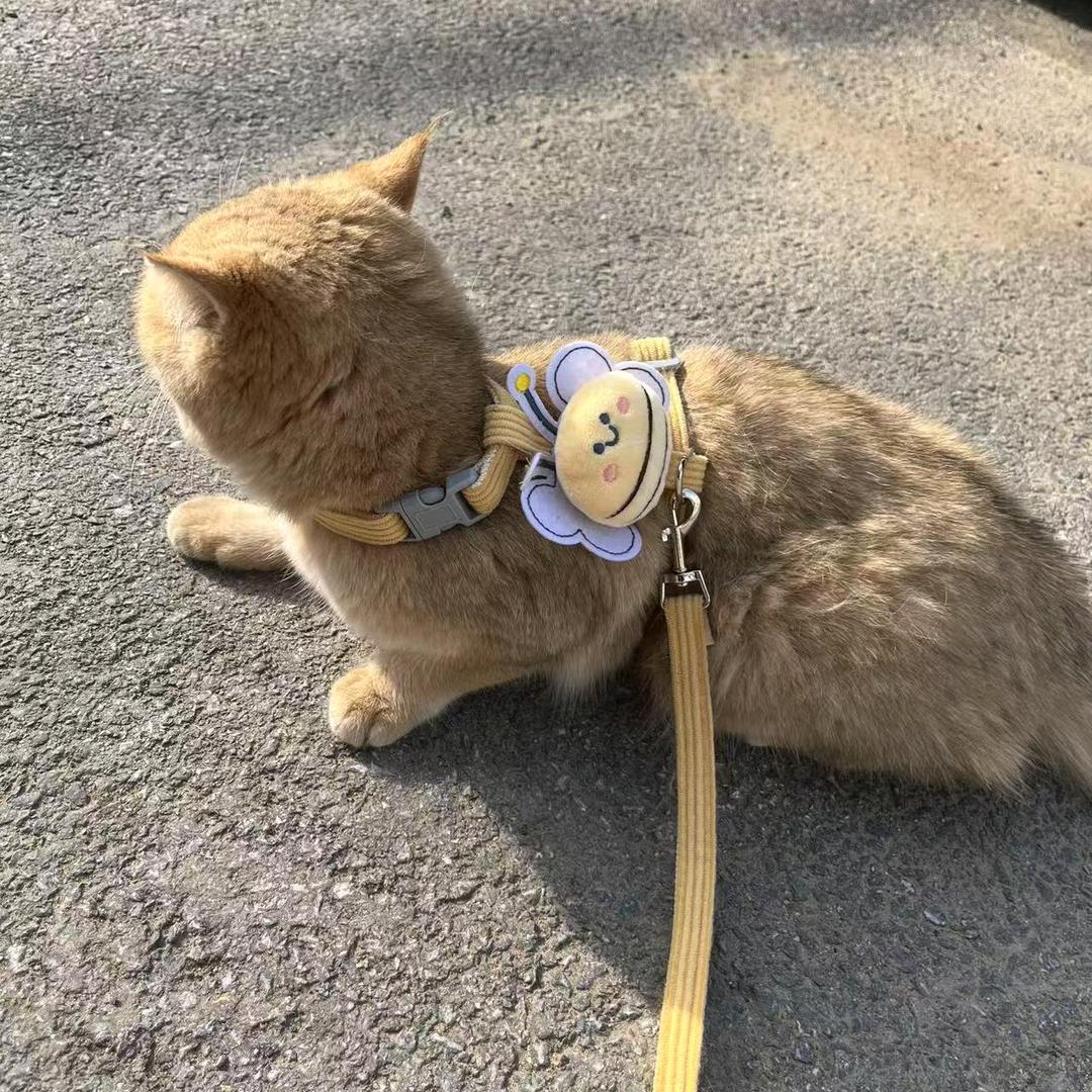 古希腊掌管蛋挞的神