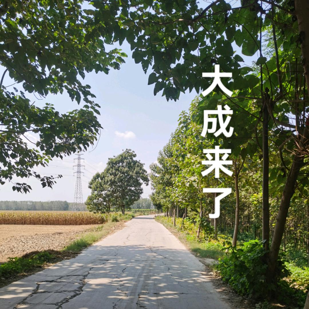 大成来了