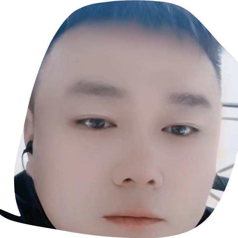 大 朋鸟