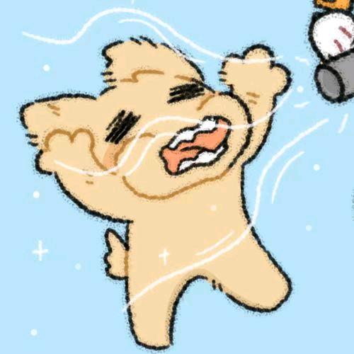 泽渊