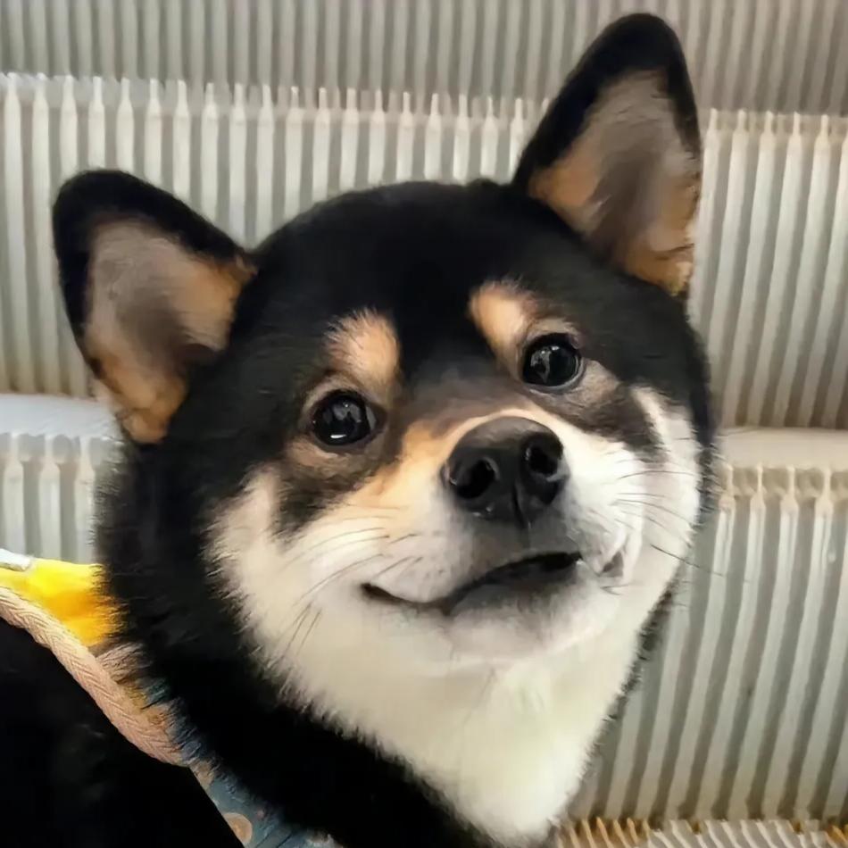 六六@