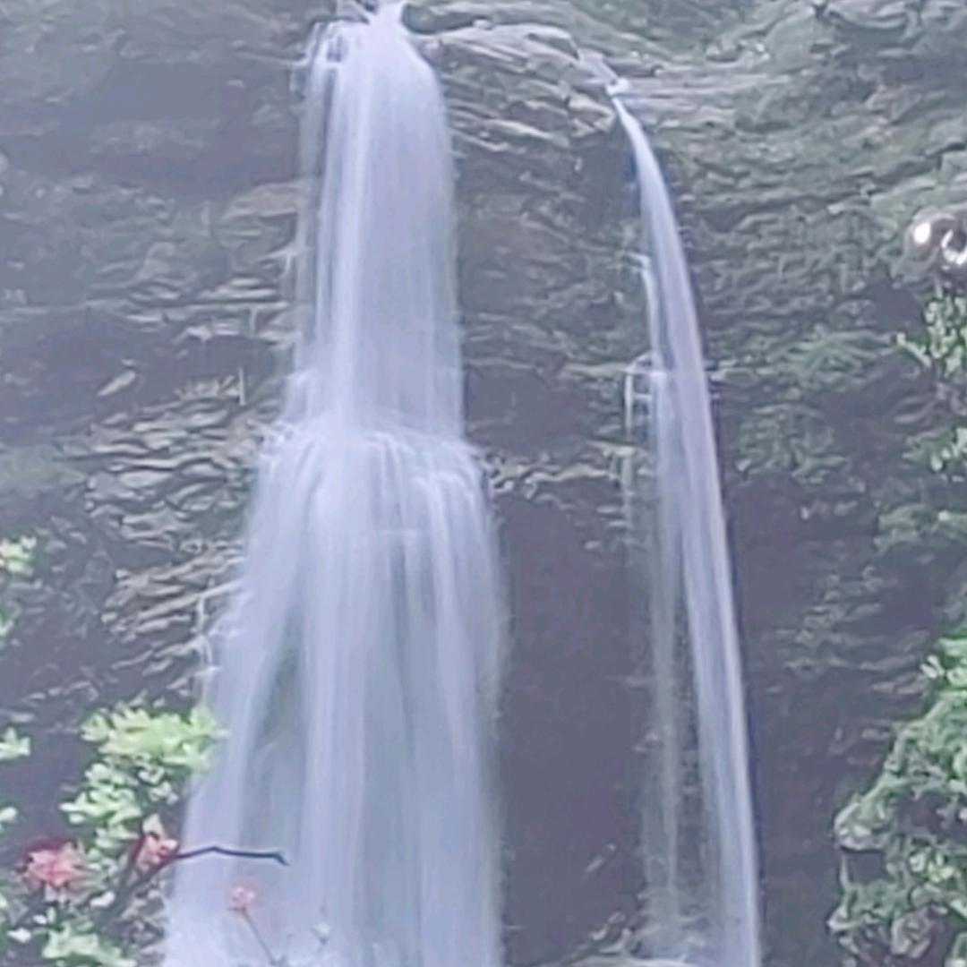 生生不息