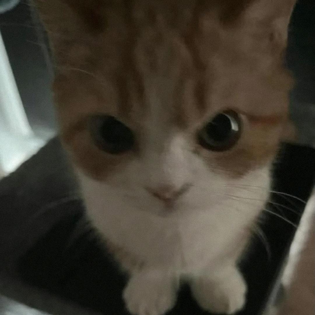 Seam