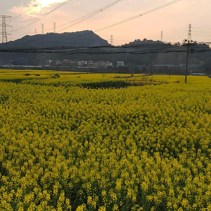 我的情深直你懂