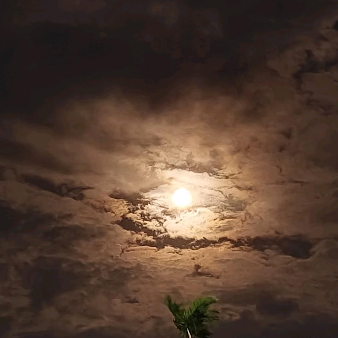 @🤡🤠👹👿☠️