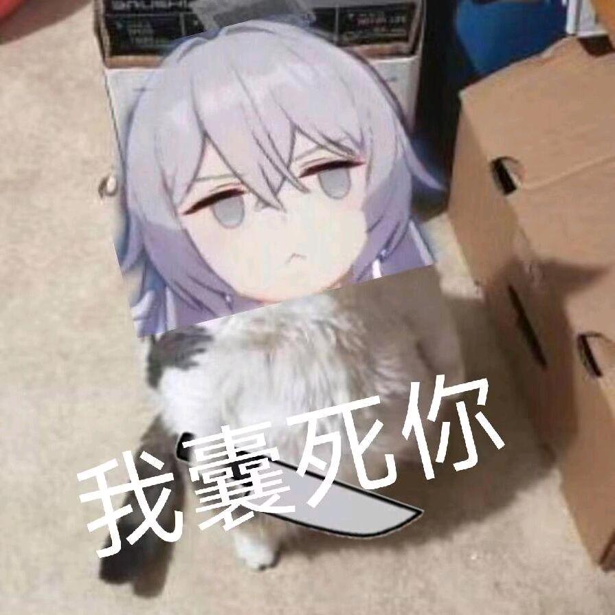 1234