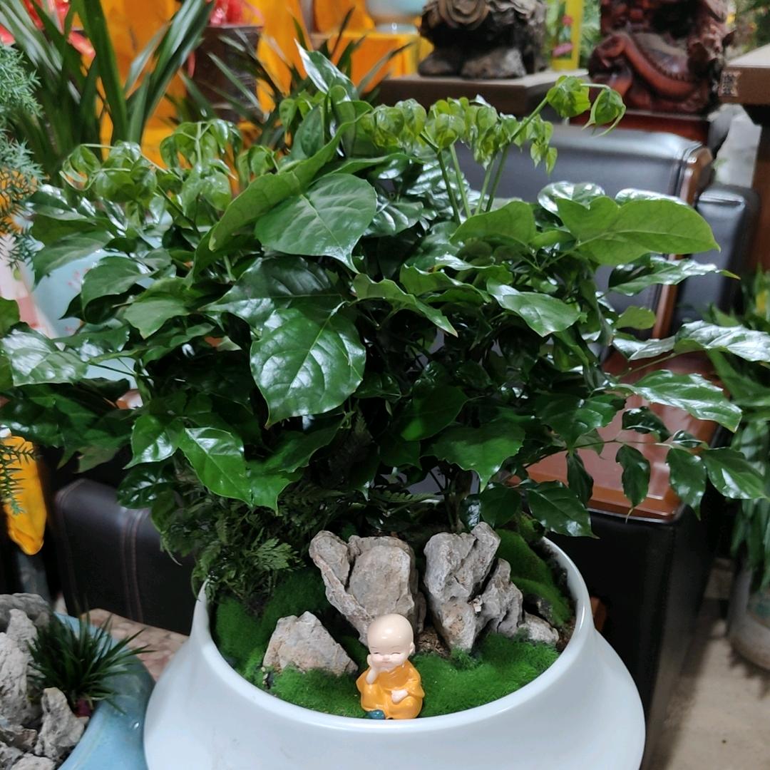 《相信自己》