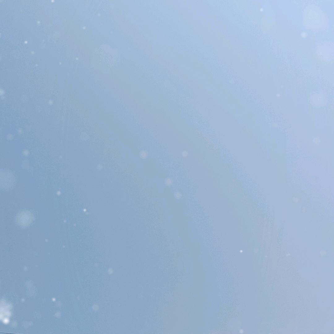 日照世锦（10:20)