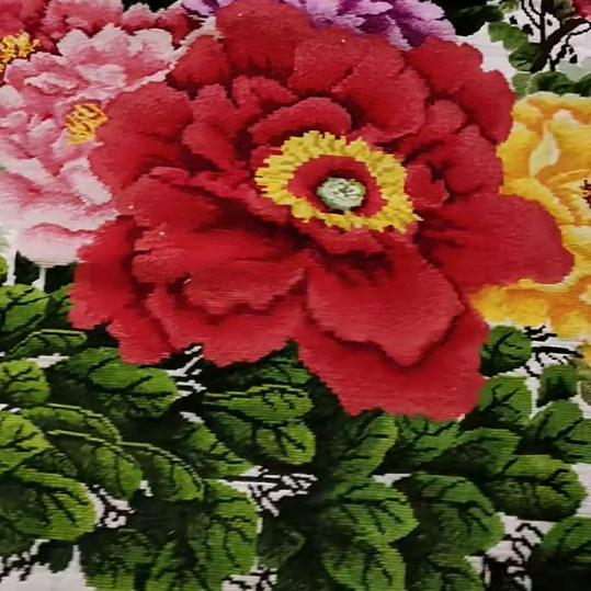 重庆酉阳人在新疆