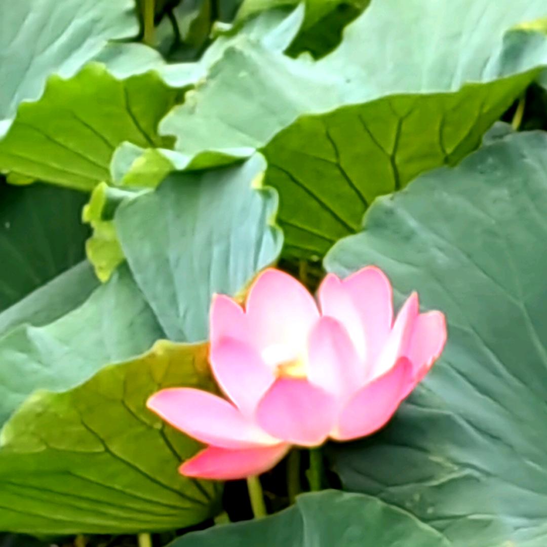 3木