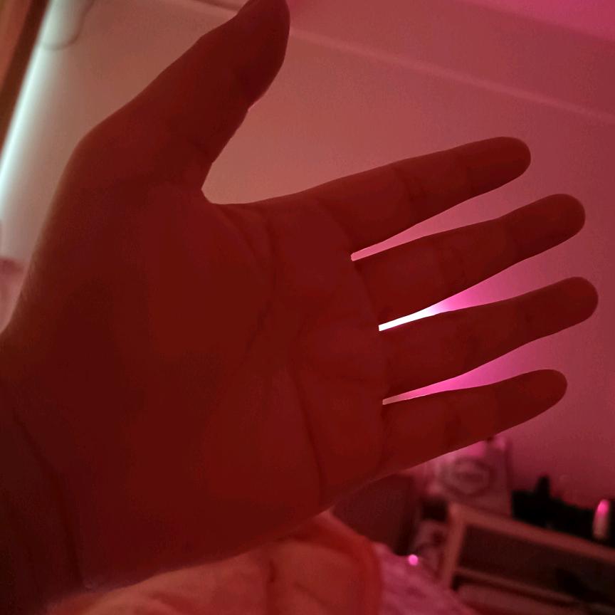 红蝴蝶