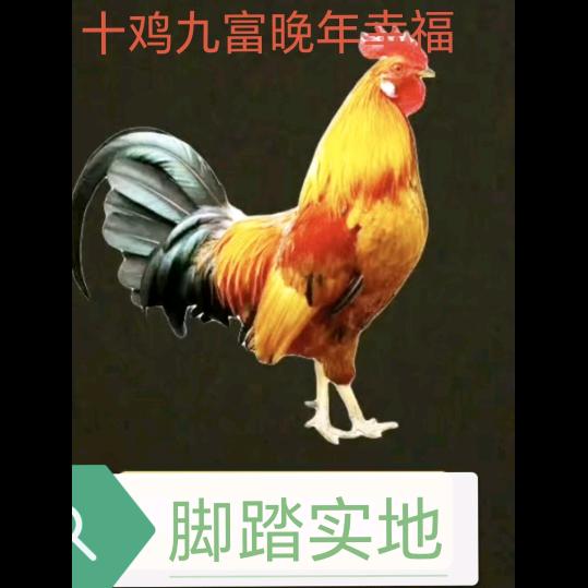 平