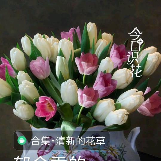 张国强