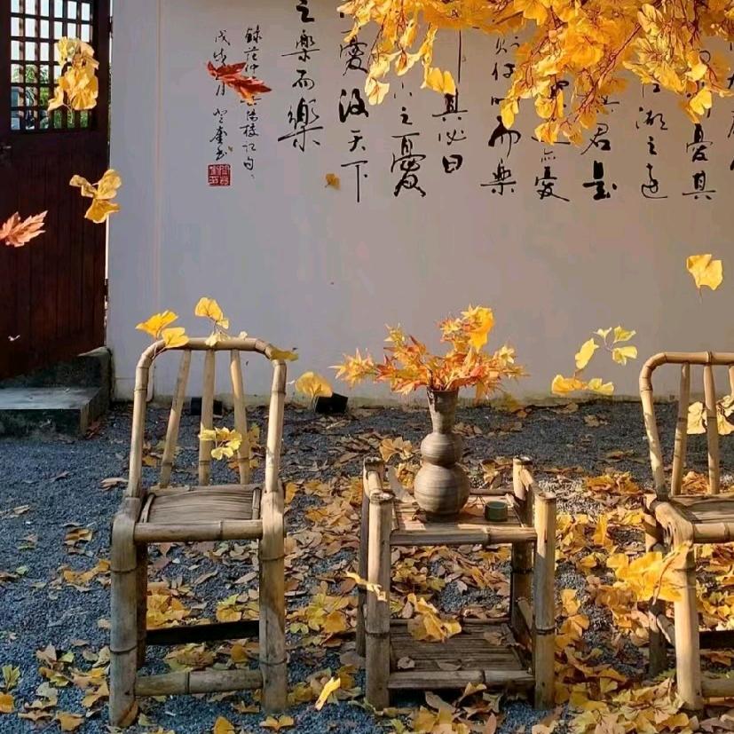 反着道之动