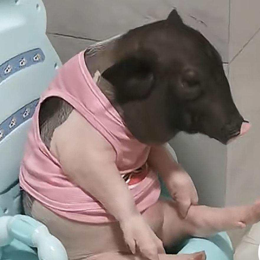阴公猪猪