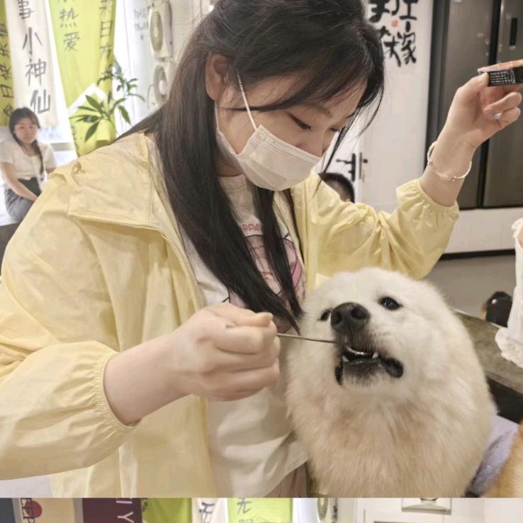 阿尼尼i哦