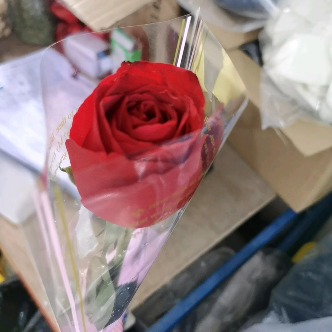 有趣有盼，不负心中热爱