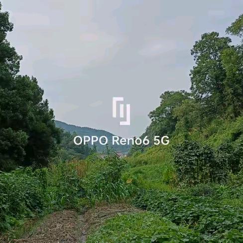 你也是我最牵挂的人。
