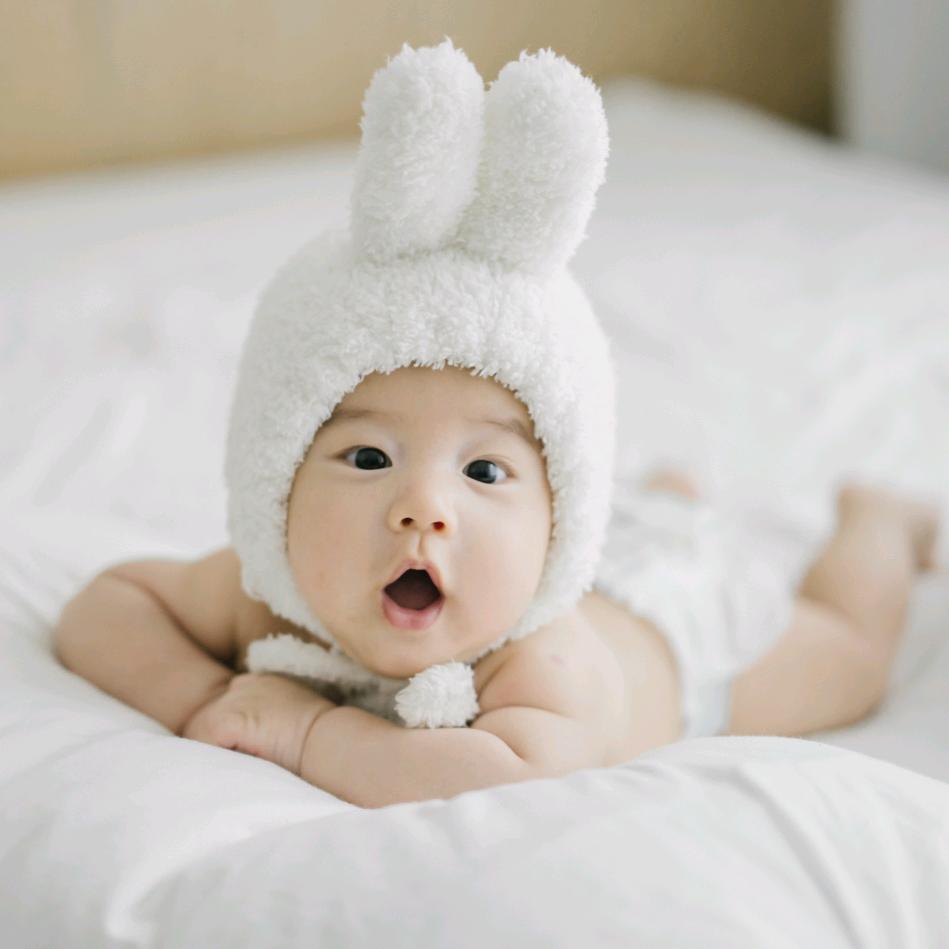 大葱鸭爆踢拳海参