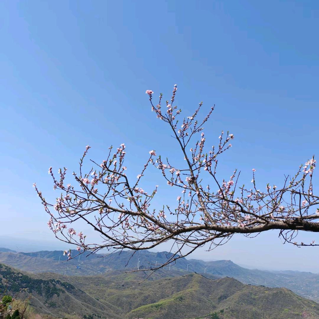 辰玉