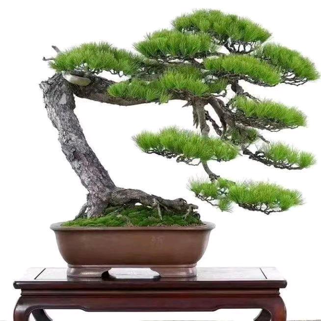酷跑