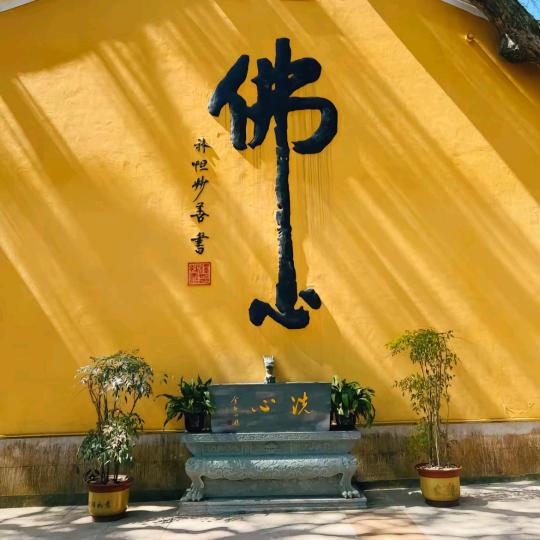康泽