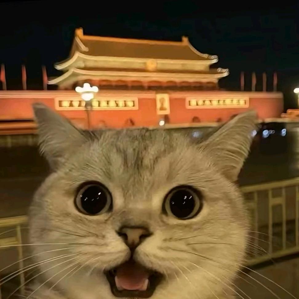羽尼同行🏸