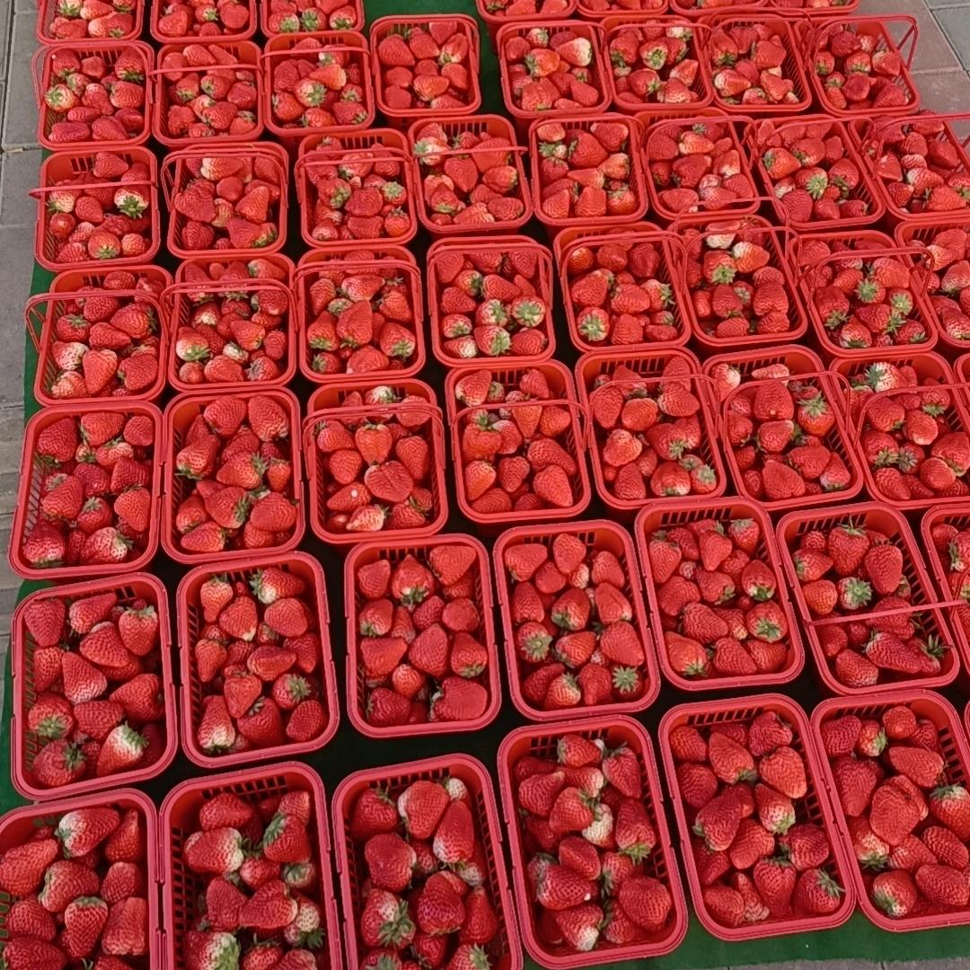 便民水果蔬菜店