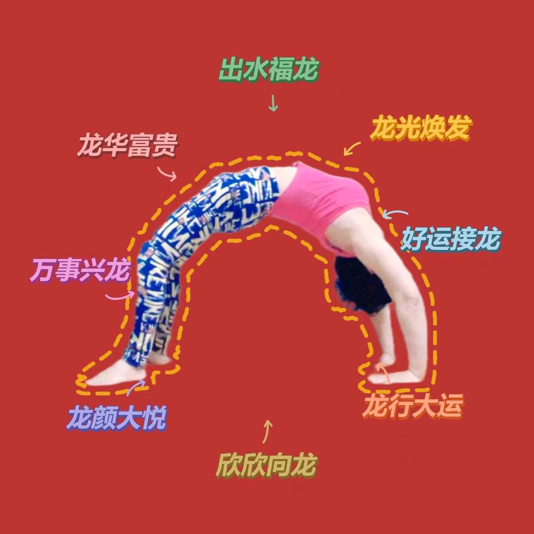 华姐姐养生瑜伽