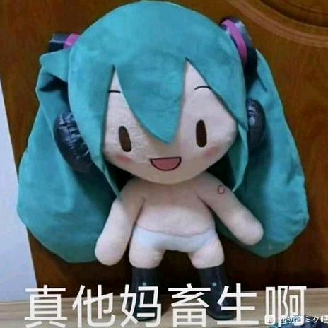 不用你教