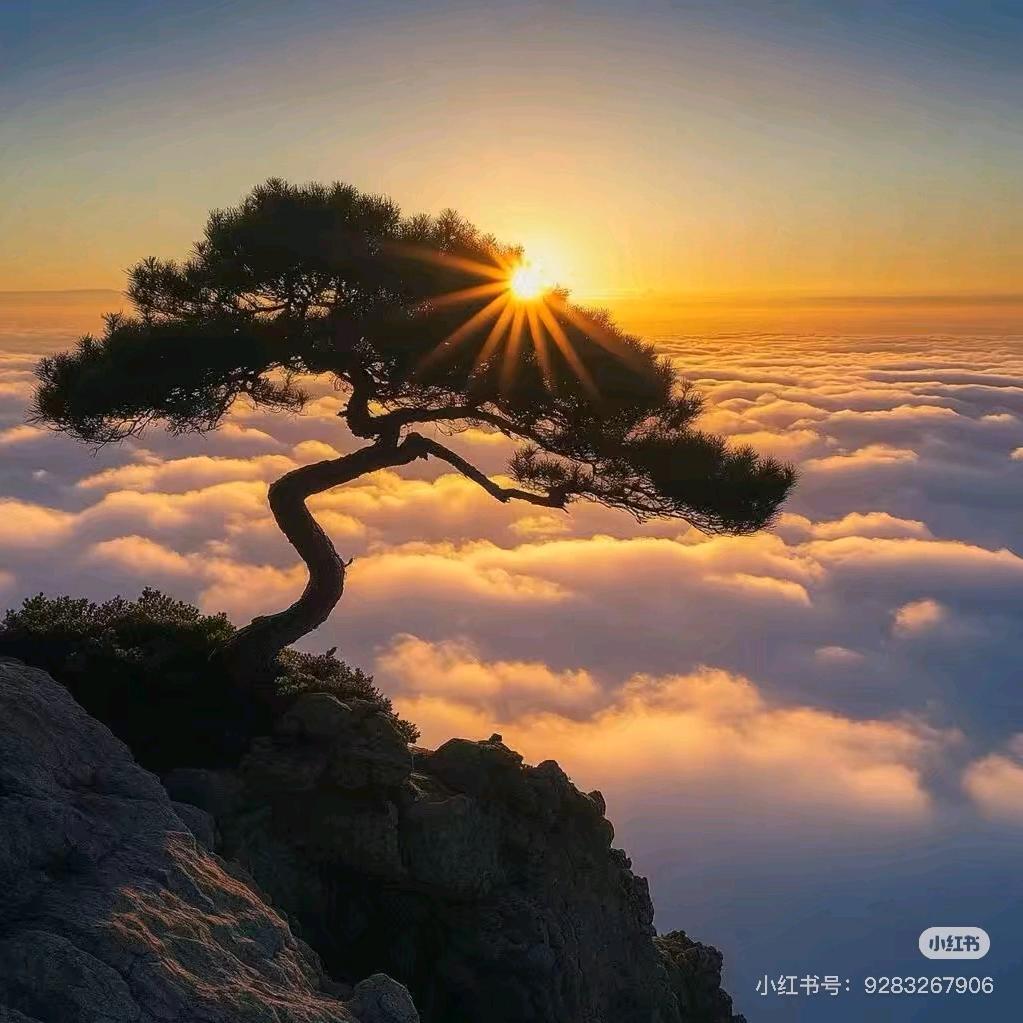 虾仁不眨眼✨