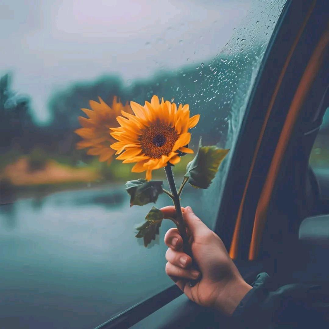 花糖影视