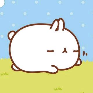 魏县@苗谷<>粮仓