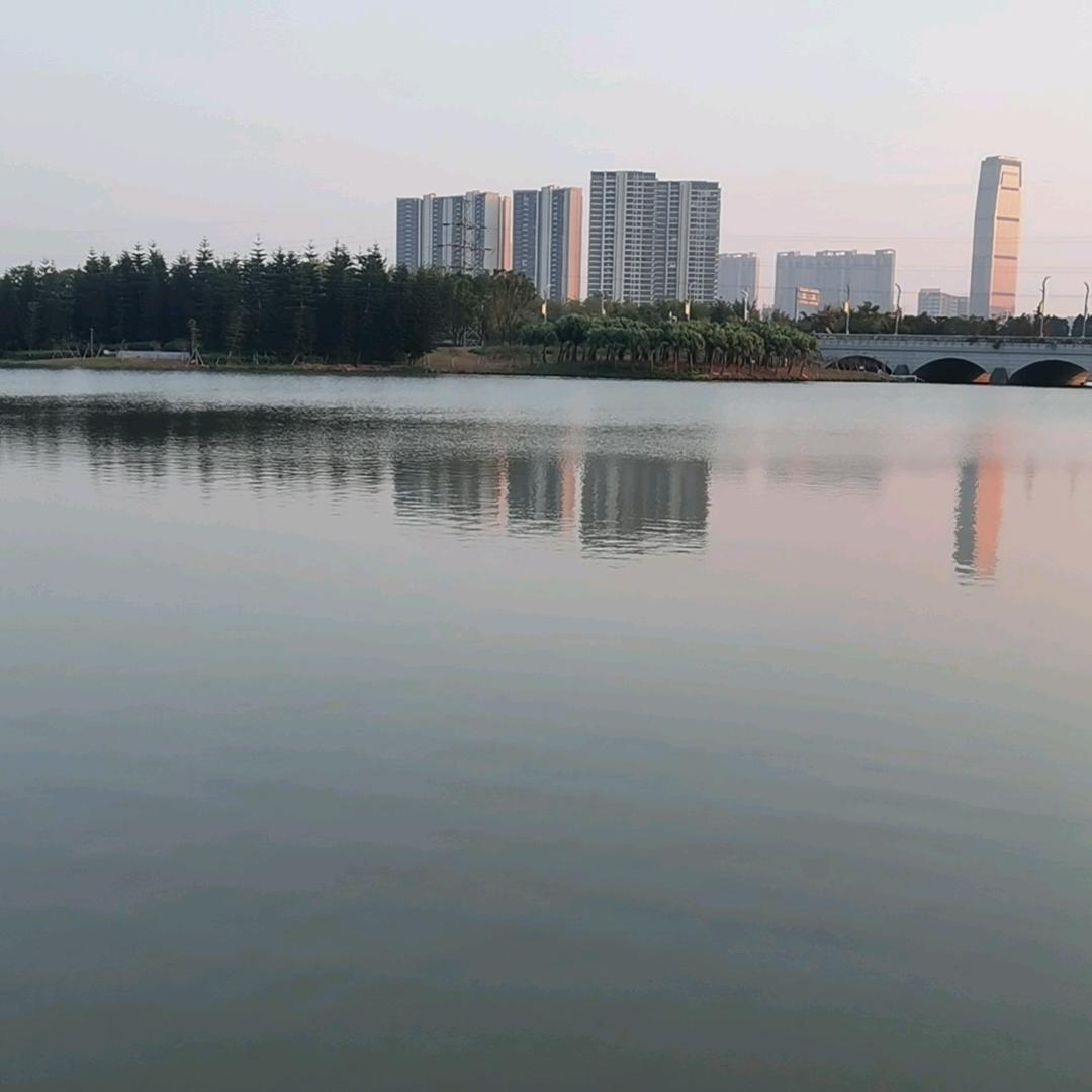 什么?