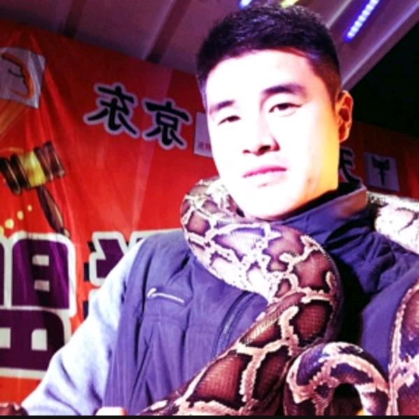 灌云叶二（宠物狗回收）