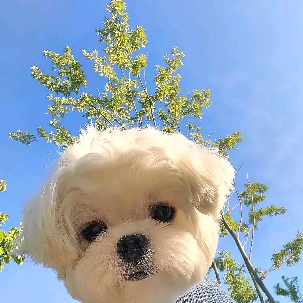 引迈百货