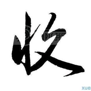 小美收藏