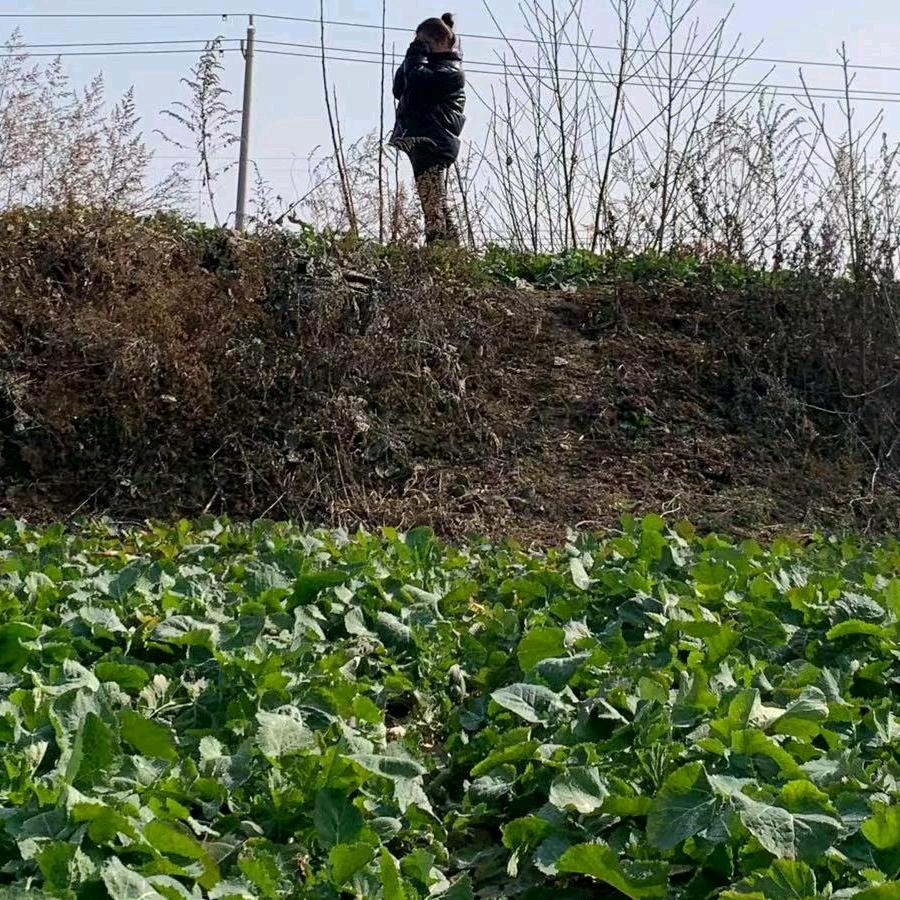 🍎平姐(河南远嫁湖南)