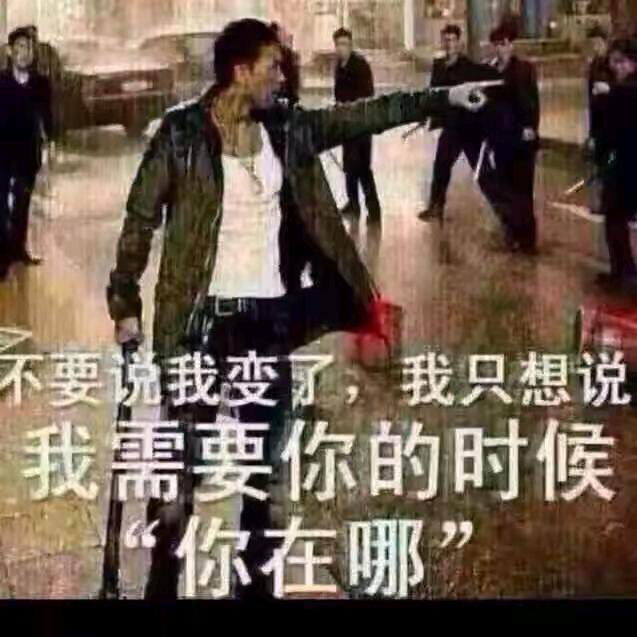 枫林夜晚秋🍎