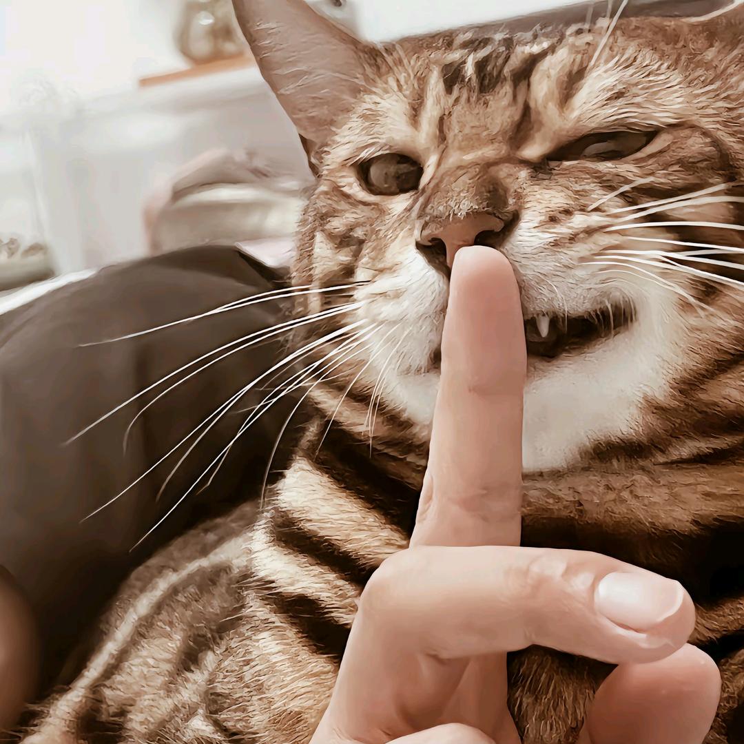 群磊