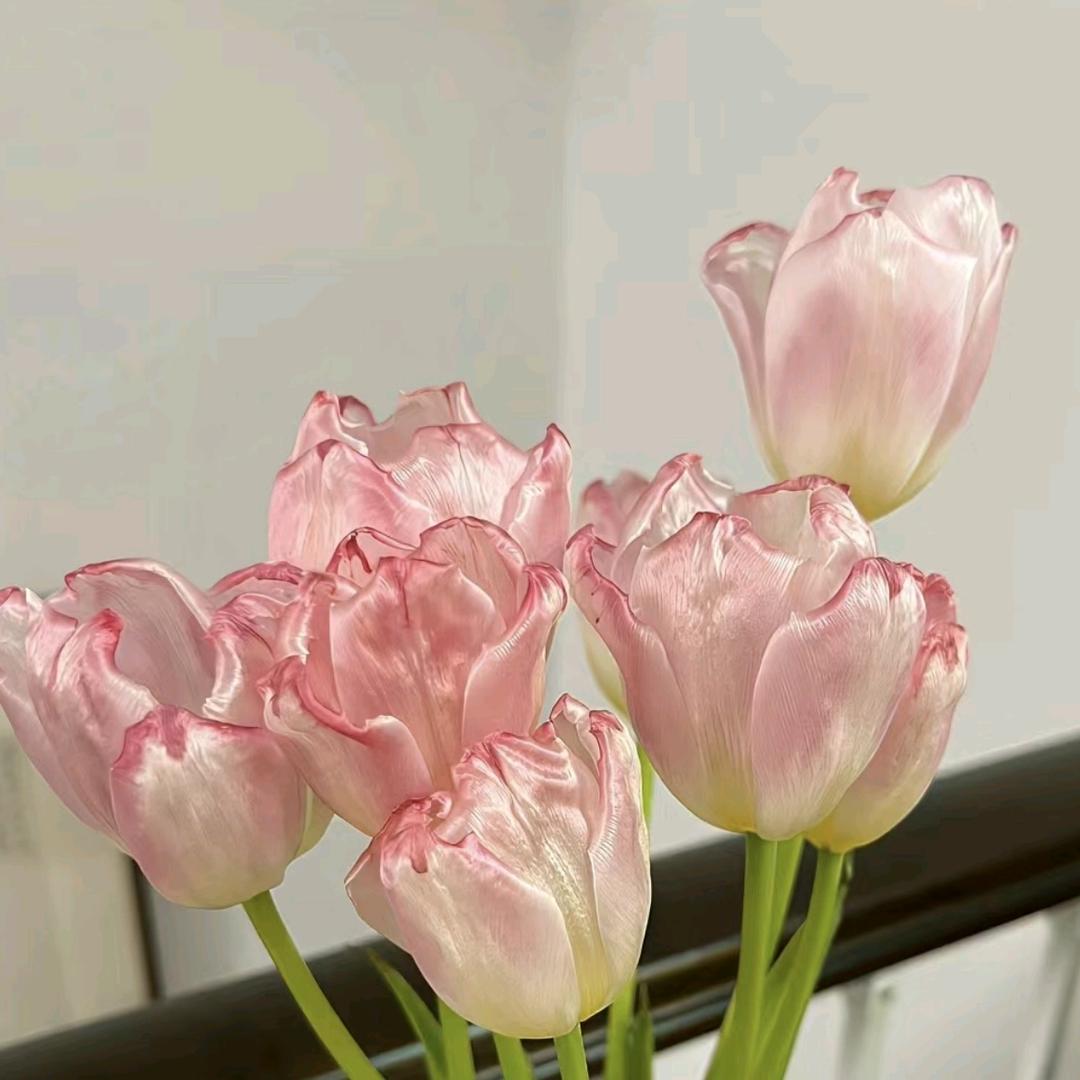 知足常乐。一生平安