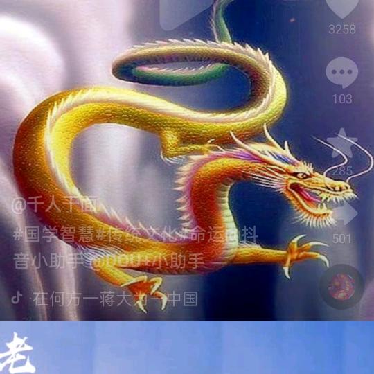 骑士王哥